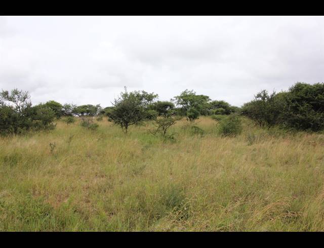 23HA VACANT LAND FOR SALE IN BENDOR